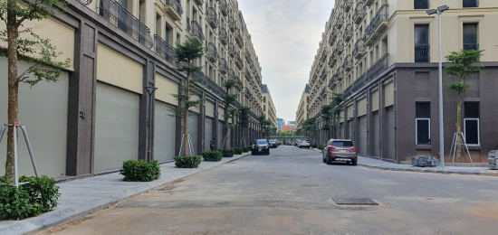 Dự án the Terra An Hưng