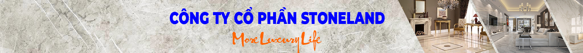 CÔNG TY CỔ PHẦN STONELAND 