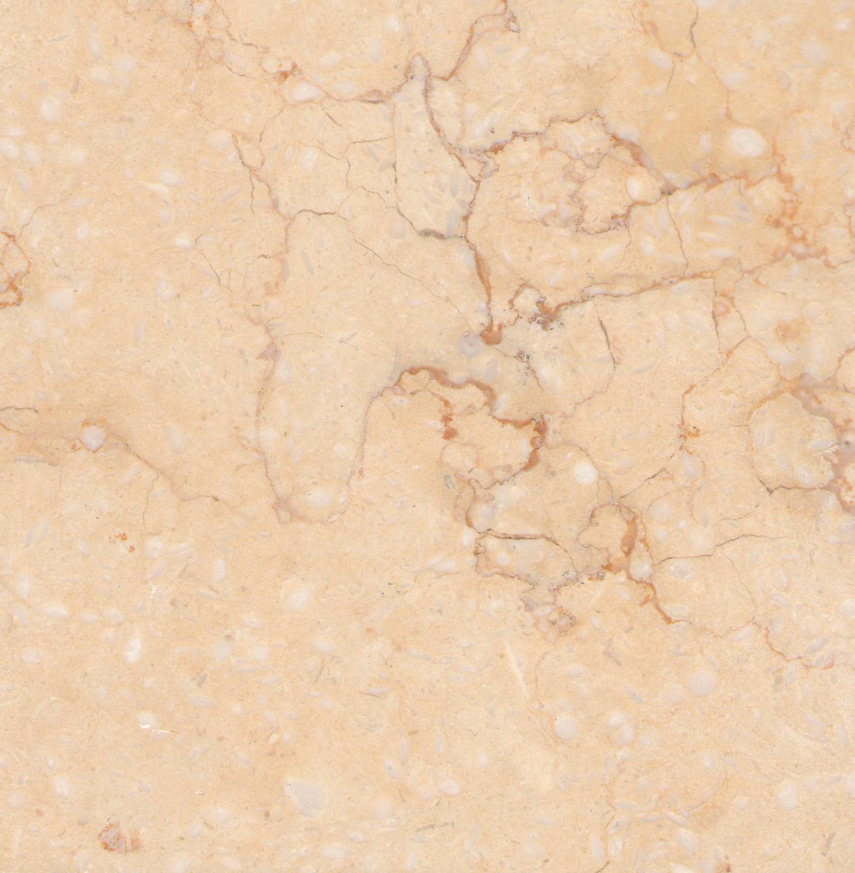 Sunny Beige